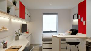 Darwin Studio