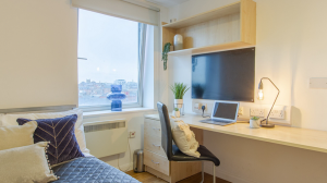 Bronze Plus 4-5 Bed Room