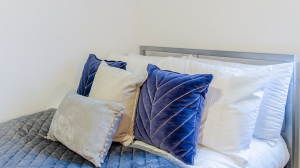 Silver Plus Ensuite