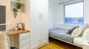 Bronze 3 Bed Room