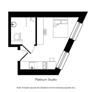 Platinum Studio