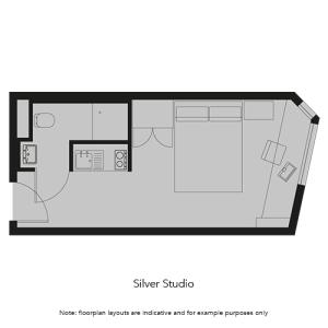Silver Studio