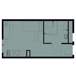 Platinum Studio